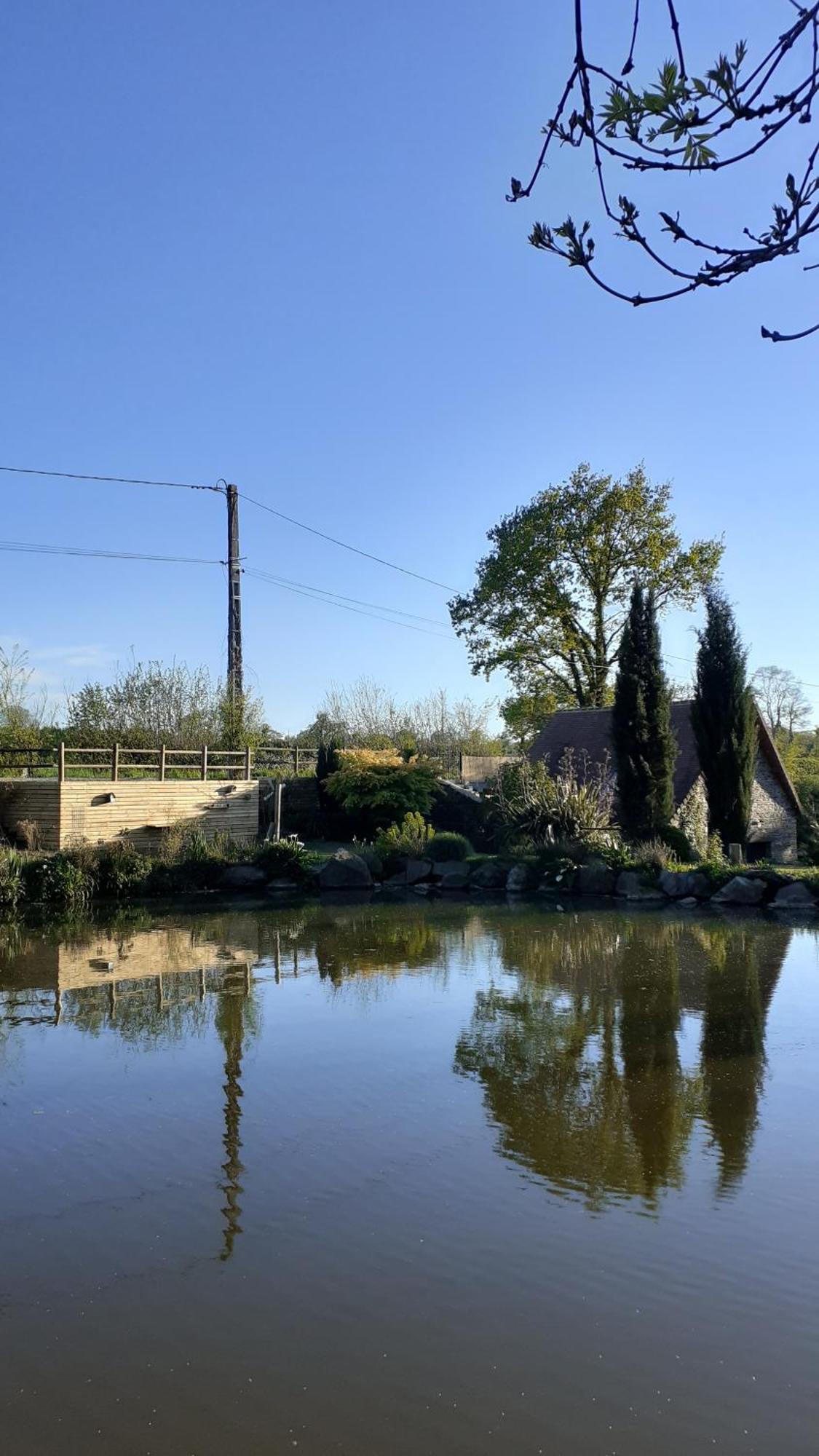 Willa Ancien Moulin Pres D'Un Ruisseau Sallen Zewnętrze zdjęcie